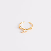 Anillo Amor Brillante