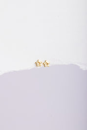 Aretes Estrella