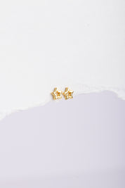 Aretes Estrella