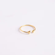 Anillo Doble Corazón