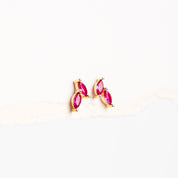Aretes Pétalo Rosa
