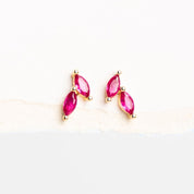 Aretes Pétalo Rosa