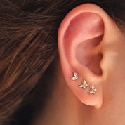 Piercing Baby Mariposa